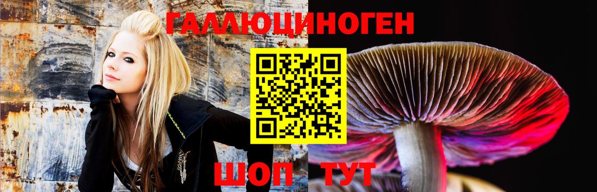 Еманжелинск  Галлюциногенные грибы Cubensis  Вход с VPN 